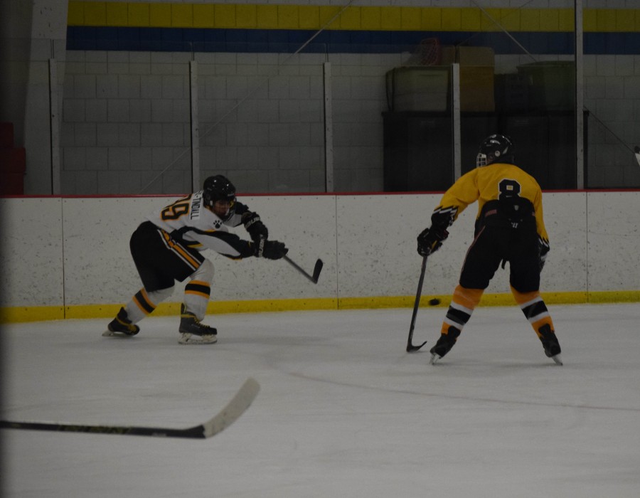 Skating+for+playoffs