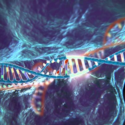 An illustration of the Cas9 protein modifying a gene