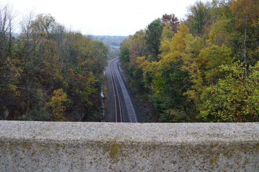 A woman who was killed when she fell 73 feet from the edge Summit Cut Bridge supposedly haunts the area.