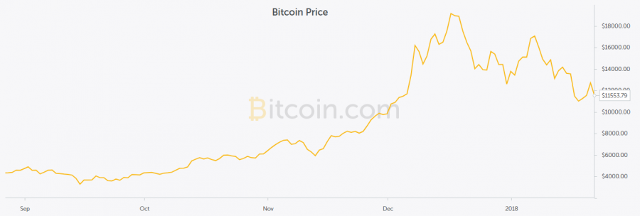 This shows the graph of Bitcoin over the past year; Bitcoin is just one of the many cryptocurrencies available to potential investors.