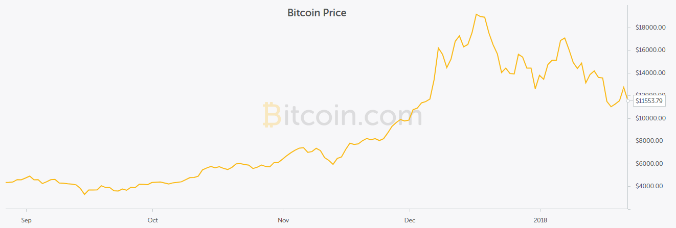 This shows the graph of Bitcoin over the past year; Bitcoin is just one of the many cryptocurrencies available to potential investors.