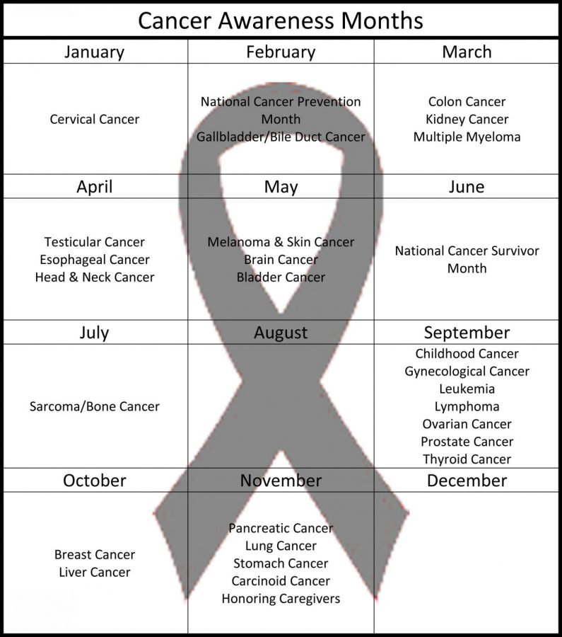 A  calendar of the various cancer awareness months. Some months do not have a specific cancer they are focusing on, while others may have up to seven.