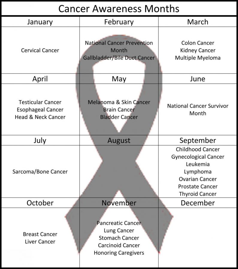 A  calendar of the various cancer awareness months. Some months do not have a specific cancer they are focusing on, while others may have up to seven.