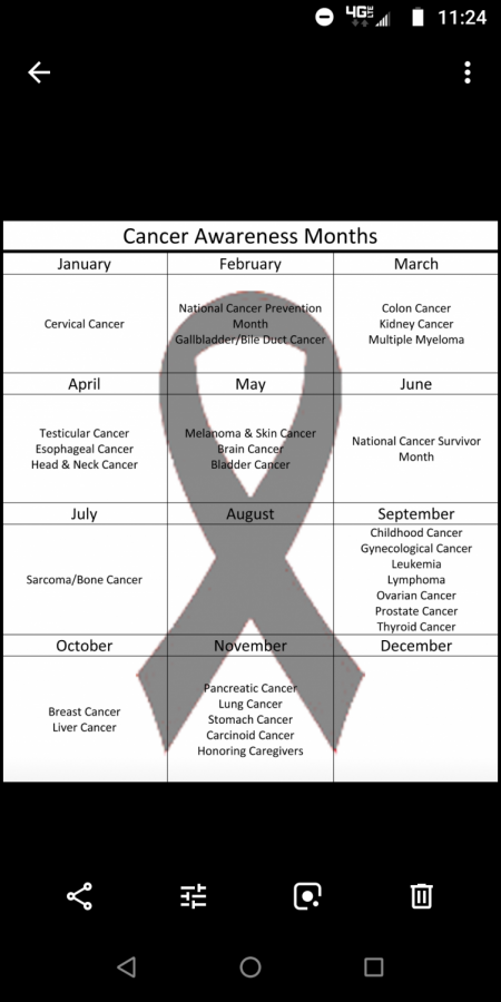 A  calendar of the various cancer awareness months. Some months do not have a specific cancer they are focusing on, while others may have up to seven
