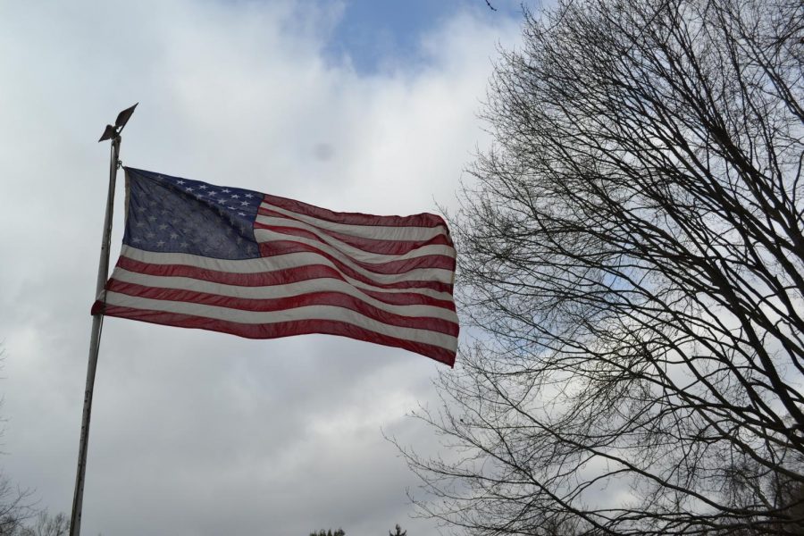 The American flag billows in the wind, and the tree to the right symbolizes the many “branches” and the ways to success there are.