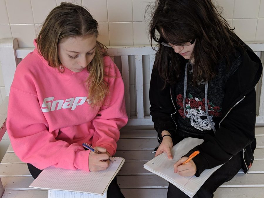 Sitting side by side, senior Heather Cleek and junior Alyson Horner write the same thing. They compare the left-handed writing of Horner to the right-handed writing of Cleek, both of which have a unique style.