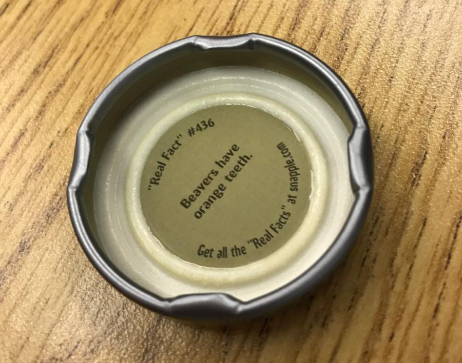 A Snapple peach tea with the fact “beavers have orange teeth,” will leave people thinking if this fact is true or not. Especially with Snapple’s credibility being shot down by the second with all their “real facts” being proven wrong. 