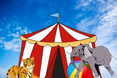 Lions, tigers, abuse! Oh my!