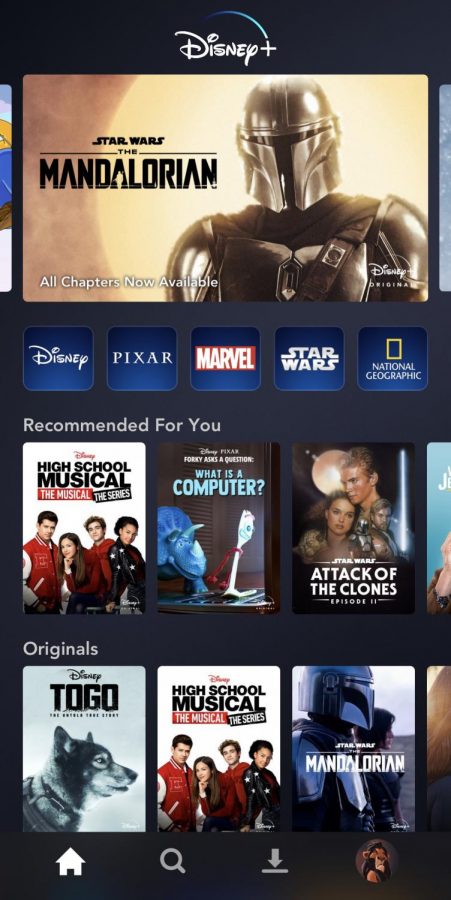 On the home page of Disney+, dozens of movies and shows are available to access, also featuring those that are exclusive, like The Mandalorian, High School Musical the Musical the Series, and TOGO.