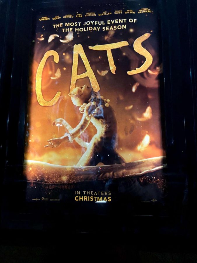 The very out of shape poster hanging outside the almost empty movie theater for Cats.