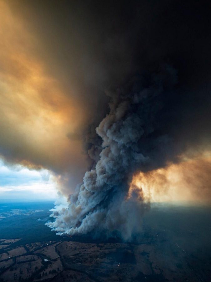 As seen from above, the fires are clearing out large areas of land and creating giant clouds of smoke that end up covering the surrounding land.