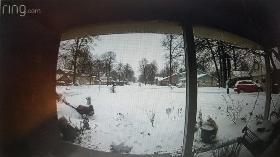 Footage from an actual Ring doorbell camera features a front lawn and the antics going on there with a lawnmower.