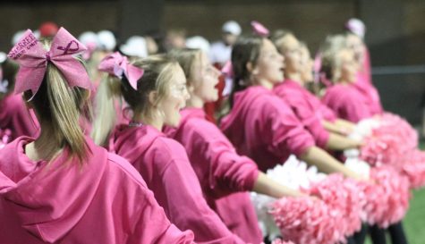 On Oct. 15, the Freedom cheerleaders wear pink and cheer for a cure at Geneva College in support of breast cancer awareness month.