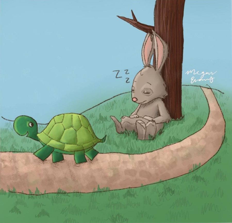The children’s fable “The Tortoise and the Hare” is an example of how one can be naturally talented at something like racing, but in failing to apply skill, one will lose to someone with more determination.