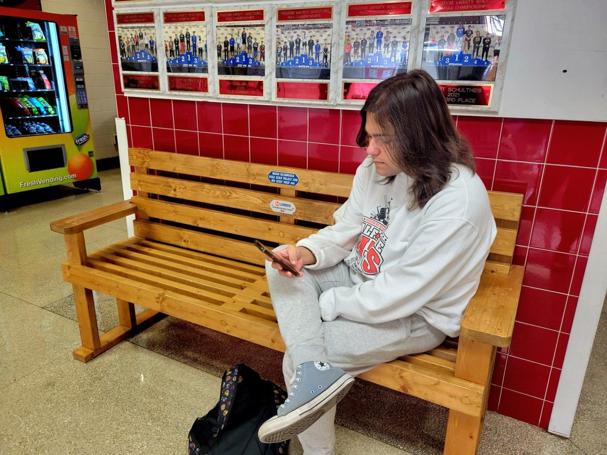 Comfortably seated: Looking down at his phone, senior Dakota Gingerella sits comfortably on a bench. Several benches were added to the student center on November 15. 