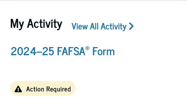 Financial falter: Many students encounter error messages when using FAFSA. This can be aggravating for students trying to view their grants and fill out the form.