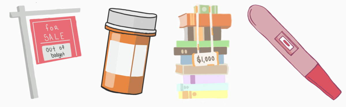 Priced out: As the country changes, even basic necessities such as medicine and a house are far too expensive for people to afford. The prices have gone so far out the window that even buying water and food, things you need to survive, has been difficult for people.
