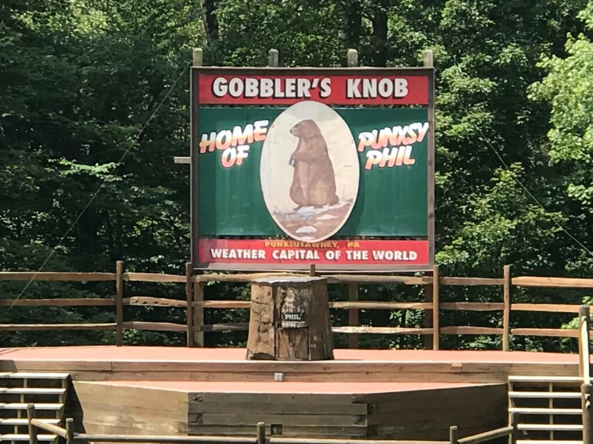 Furry forecaster: Many people across the state tune-in to their local news stations to see whether or not Punxsutawney Phil saw his shadow. This year in Gobbler's Knob, he did.